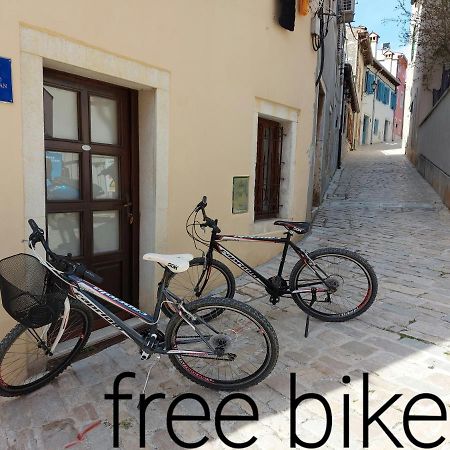 Zen Studio In Center Of Rovinj Dış mekan fotoğraf